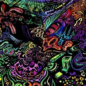 Meet your Posher, Halani